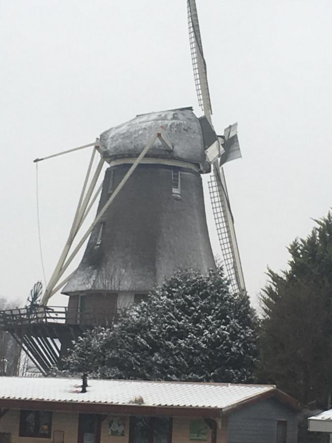 Gardenhouse Mariposa Villa Badhoevedorp Esterno foto