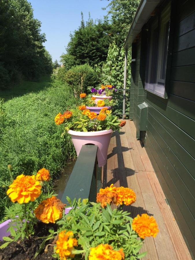 Gardenhouse Mariposa Villa Badhoevedorp Esterno foto